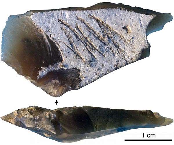 Engraved Crimean stone artifact may demonstrate Neanderthal symbolism