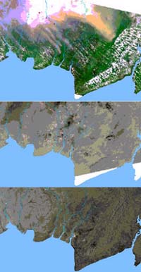 Envisat Focuses On Carbon-Rich Peat Swamp Forest Fires