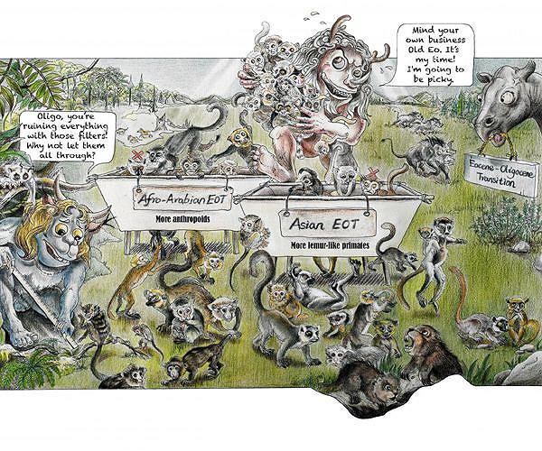 Tooth fossils fill 6-million-year-old gap in primate evolution