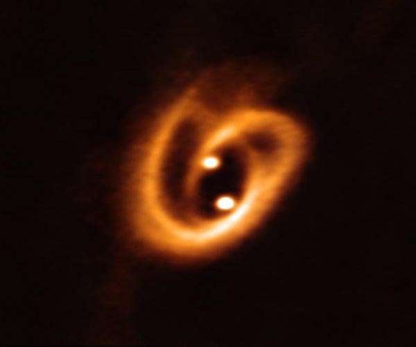 Twin baby stars grow amongst a twisting network of gas and dust