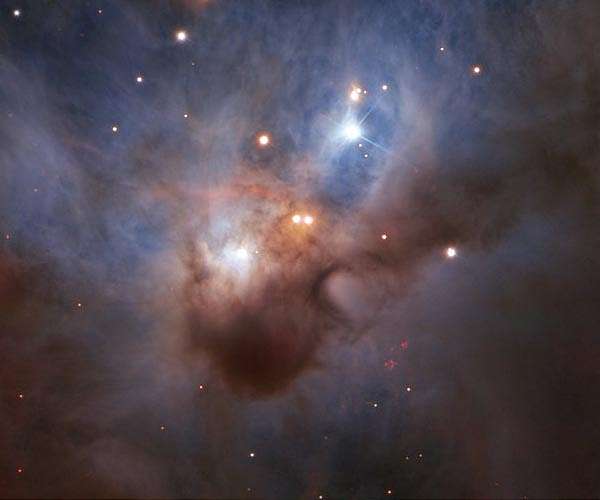 A Cosmic Bat in Flight