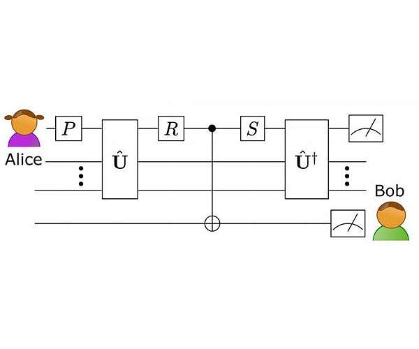 Simulating quantum 'time travel' disproves butterfly effect in quantum realm
