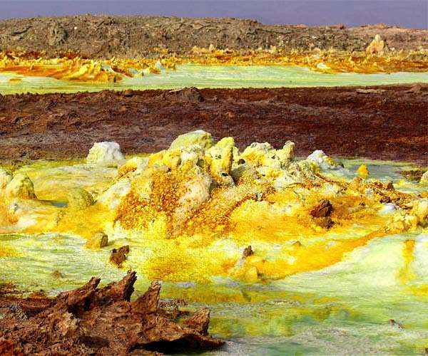 Microbes Exhibit Survival Skills in Ethiopia's Mars-like Wonderland