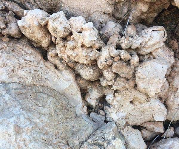 Vast global reserves of inorganic soil carbon uncovered