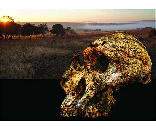 Newly discovered fossil shows small-scale evolutionary changes in an extinct human species