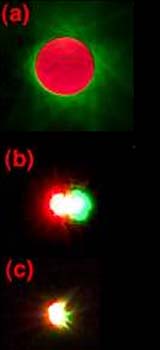 Optical Vortex Coronagraph Could Look Directly At Extrasolar Planets