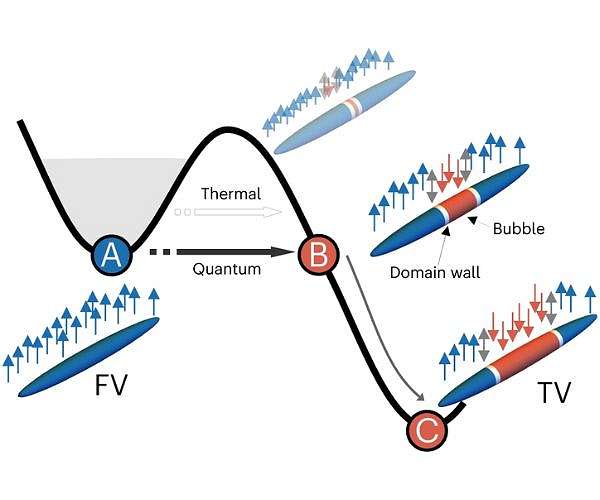 Quantum Field theory breakthrough: First observation of vacuum decay bubbles