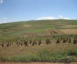 Dizzying heights: Prehistoric farming on the 'roof of the world'