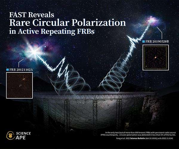 Precise FAST observations reveal circular polarization in active repeating fast radio bursts