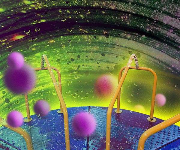 Fast-spinning black holes narrow the search for dark matter particles