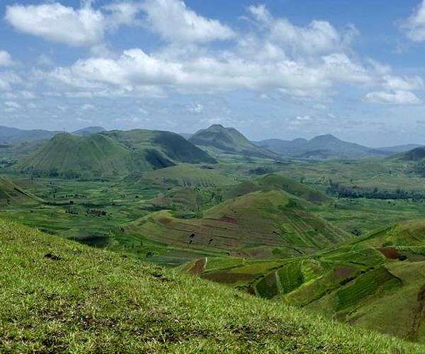 Poachers threaten precious Madagascar forest and lemurs