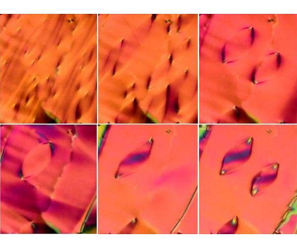 Evidence of intermediate state of matter between crystal and liquid