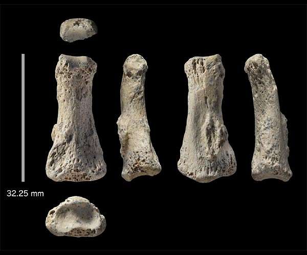 First human migration out of Africa much more geographically widespread