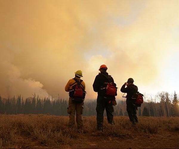 Huge forest fires don't cause living trees to release much carbon, OSU research shows