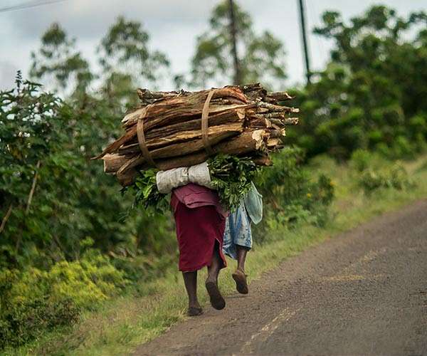 Kenya bets on carbon credits as it hosts climate summit