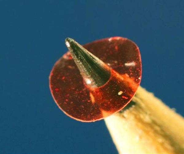 Five millimeter diameter motor is powered directly with light