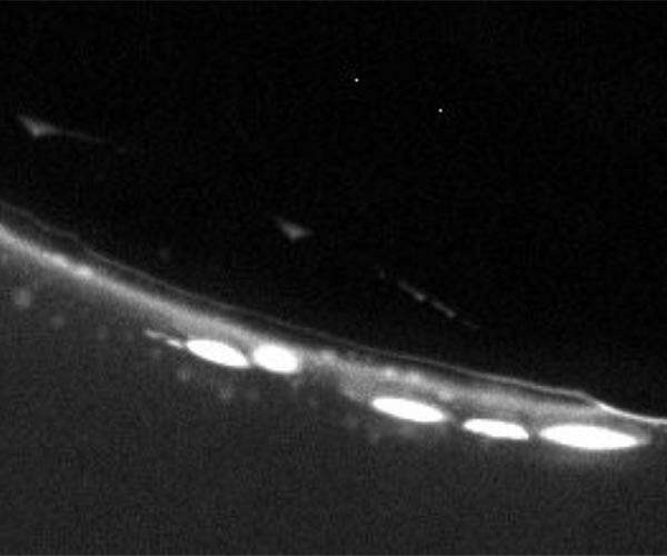 Gas bubbles in rock pores - a nursery for life on Early Earth
