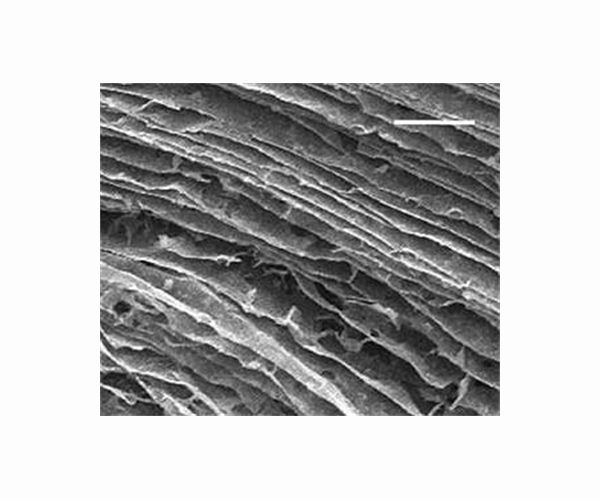 Sculpting with graphene foam