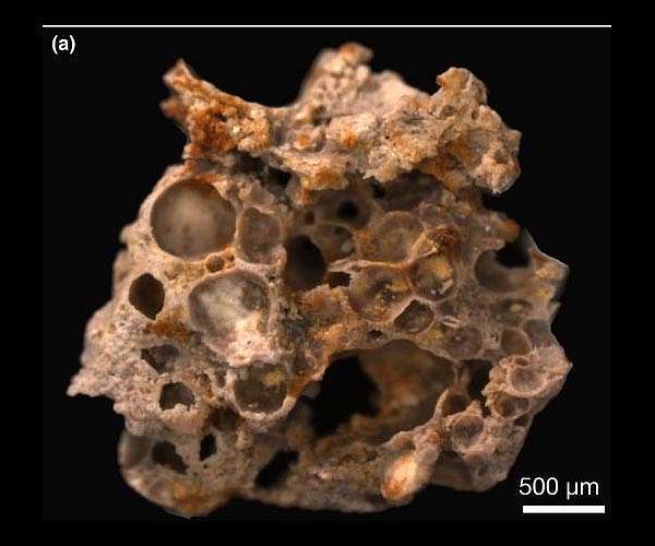 Nanodevice Sheds Light on Early Cyanobacterial Evolution