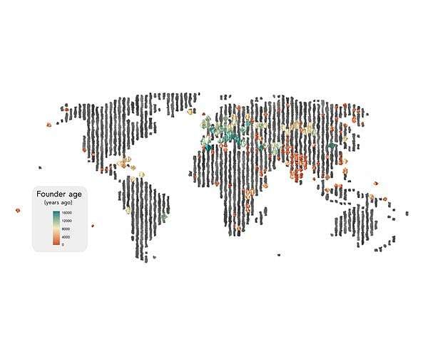 Population bottlenecks that reduced genetic diversity were common throughout human history