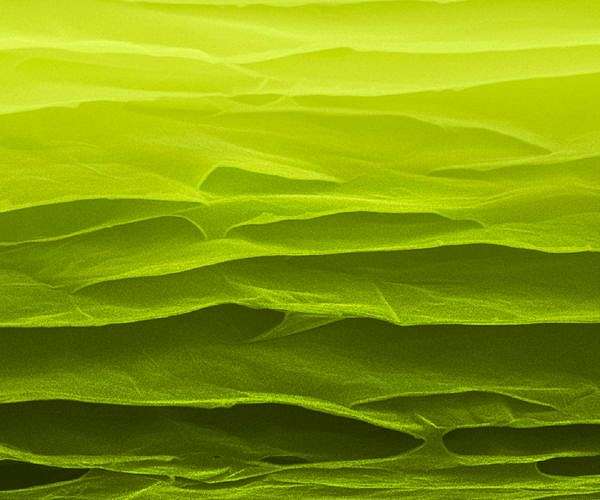 Scientists make strong, super-tough carbon sheets at low temperature