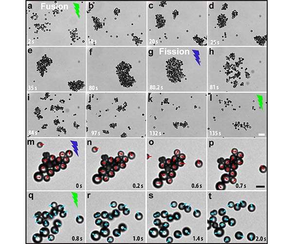 Active particles with light-switchable propulsion direction and reversible interactions