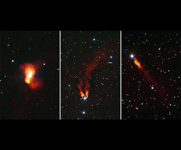 Galaxies in the Perseus Cluster