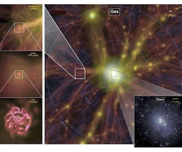 UKansas researchers awarded NSF grant to explore the Cosmic Web