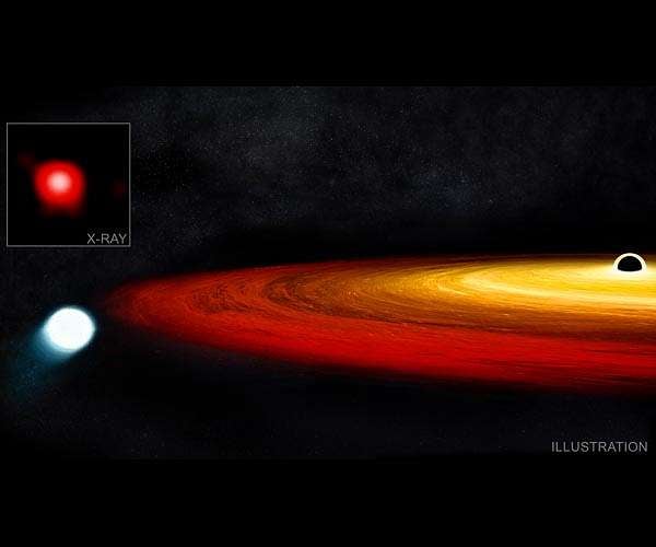 Star survives close call with a black hole