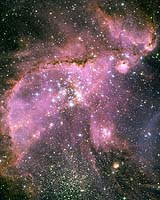 Young Stars Sculpt Gas With Powerful Outflows