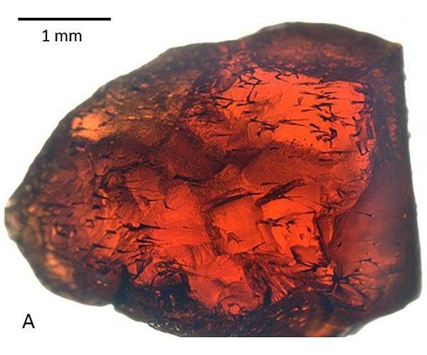 Tiny tunnels inside garnets appear to be the result of boring microorganisms
