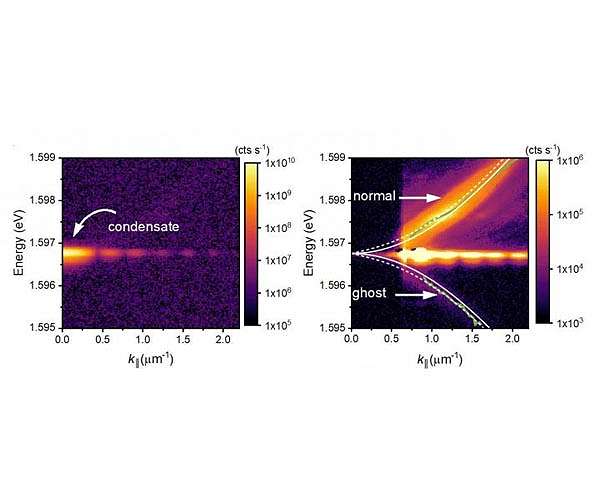 Ghostly particles detected in condensates of light and matter