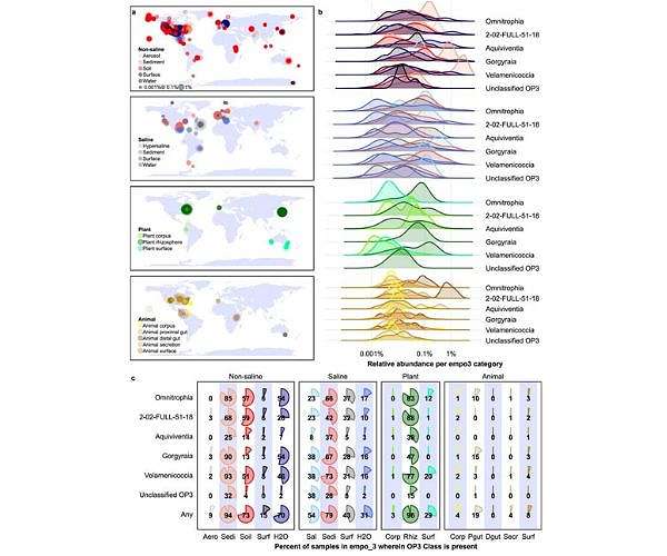 Study shines new light on ancient microbial dark matter