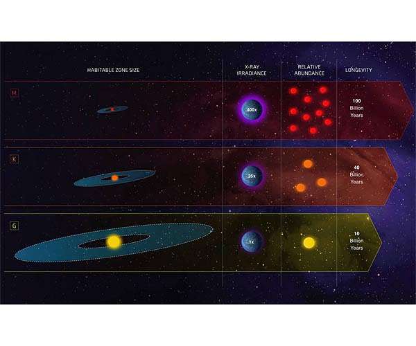 Goldilocks stars are best places to look for life
