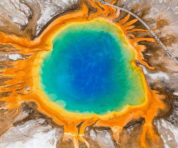 Loathed by scientists, loved by nature: sulfur and the origin of life