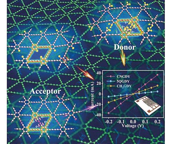 Two-dimensional carbon networks