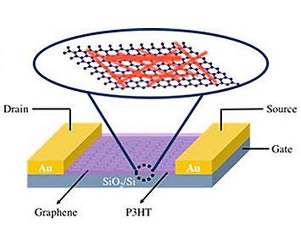 Detecting light in a different dimension
