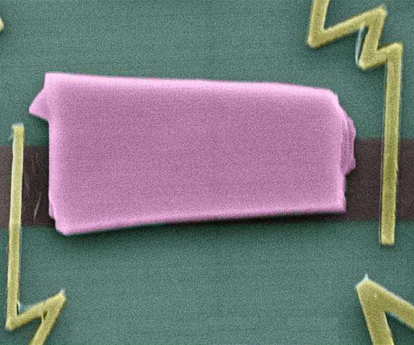 Exploring new spintronics device functionalities in graphene heterostructures