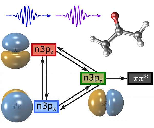 Method combination allows deep insights into ultrafast light-induced processes