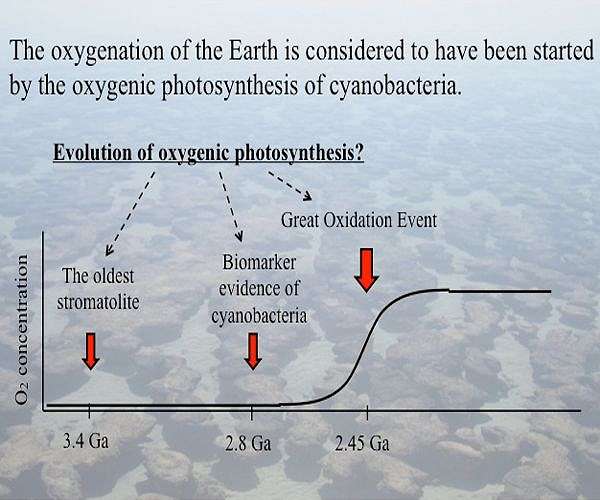 "Seafloor fertilizer factory" helped breathe life into Earth