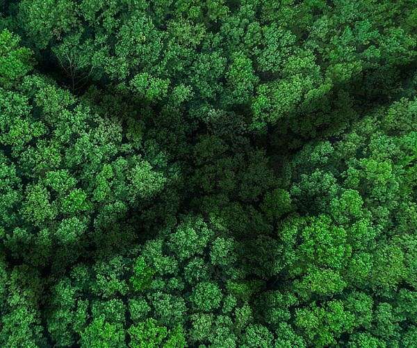 Long-haul flights - small changes with a big climate impact