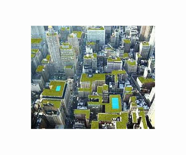 Study: Heart attacks are less common in greener neighborhoods