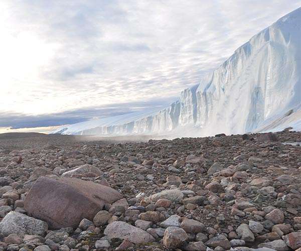Locked in a glacier, viruses adapted to survive extreme weather