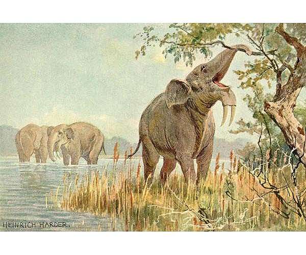 Early humans evolved in ecosystems unlike any found today