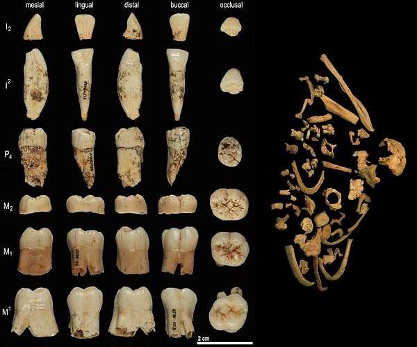 Oldest ever human genetic evidence clarifies dispute over our ancestors