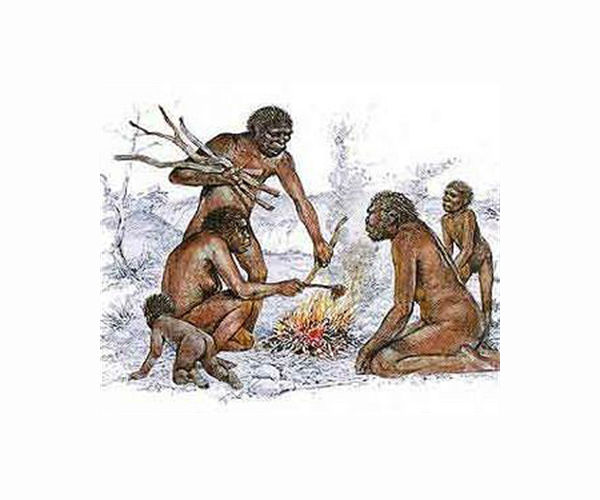 Dry conditions in East Africa half a million years ago possibly shaped human evolution