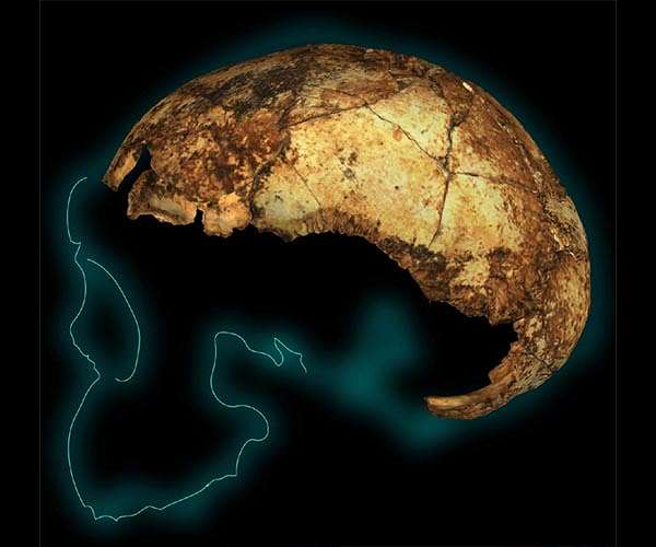 When three species of human ancestor walked the Earth