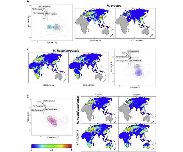 Climate change likely drove early human species to extinction, modeling study suggests