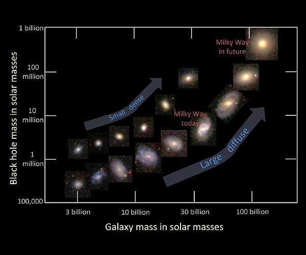 How galaxies die and the quenching of star formation