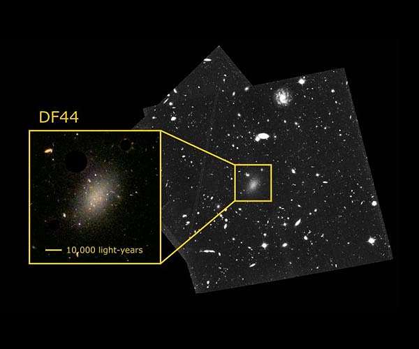 The puzzle of the strange galaxy made almost entirely of dark matter